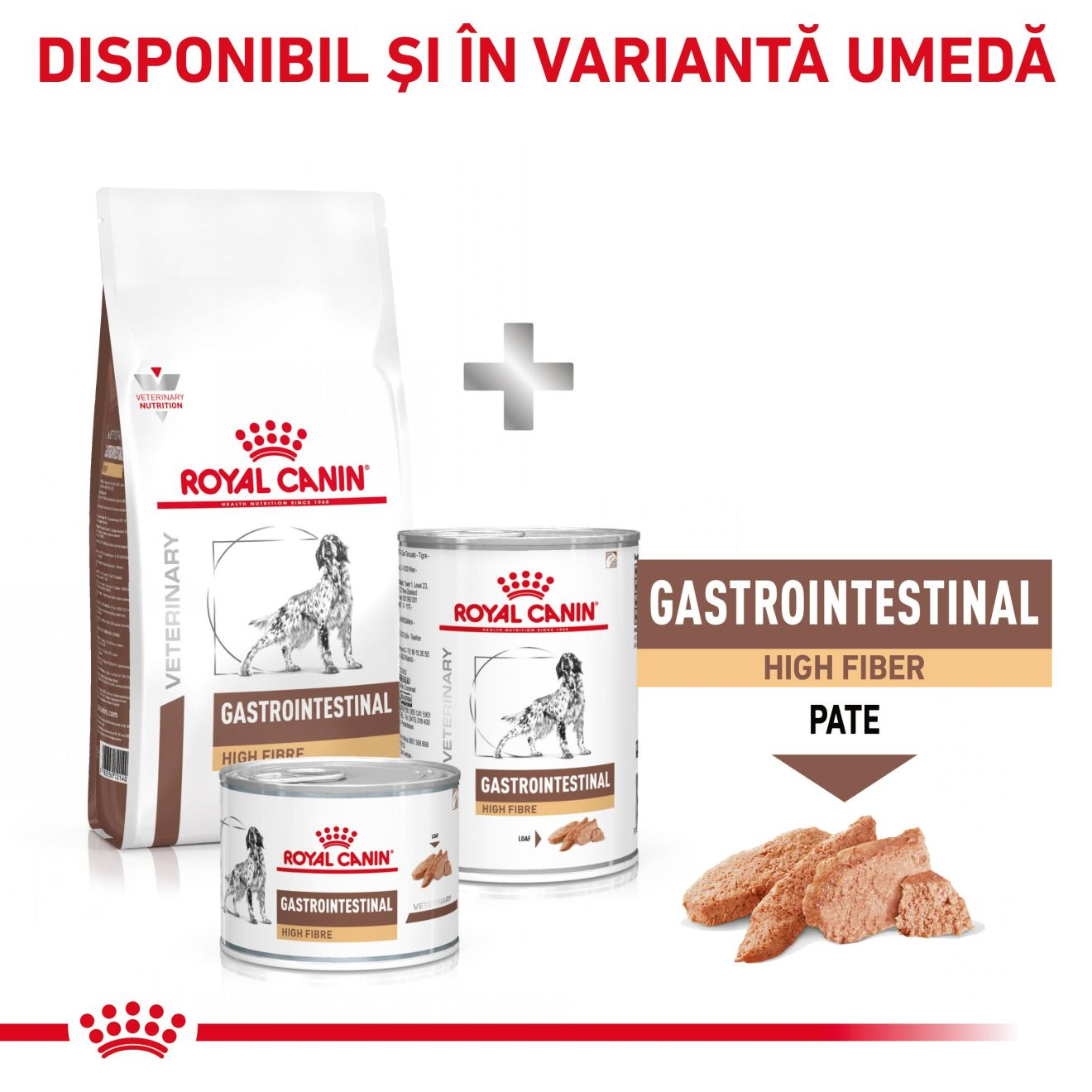 GASTROINTESTINAL HIGH FIBRE