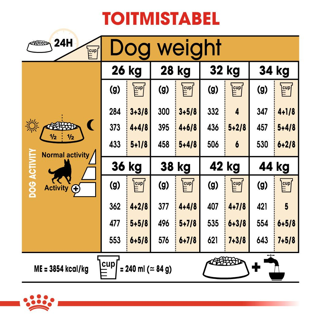 Royal Canin German Shepherd Adult kuivtoit