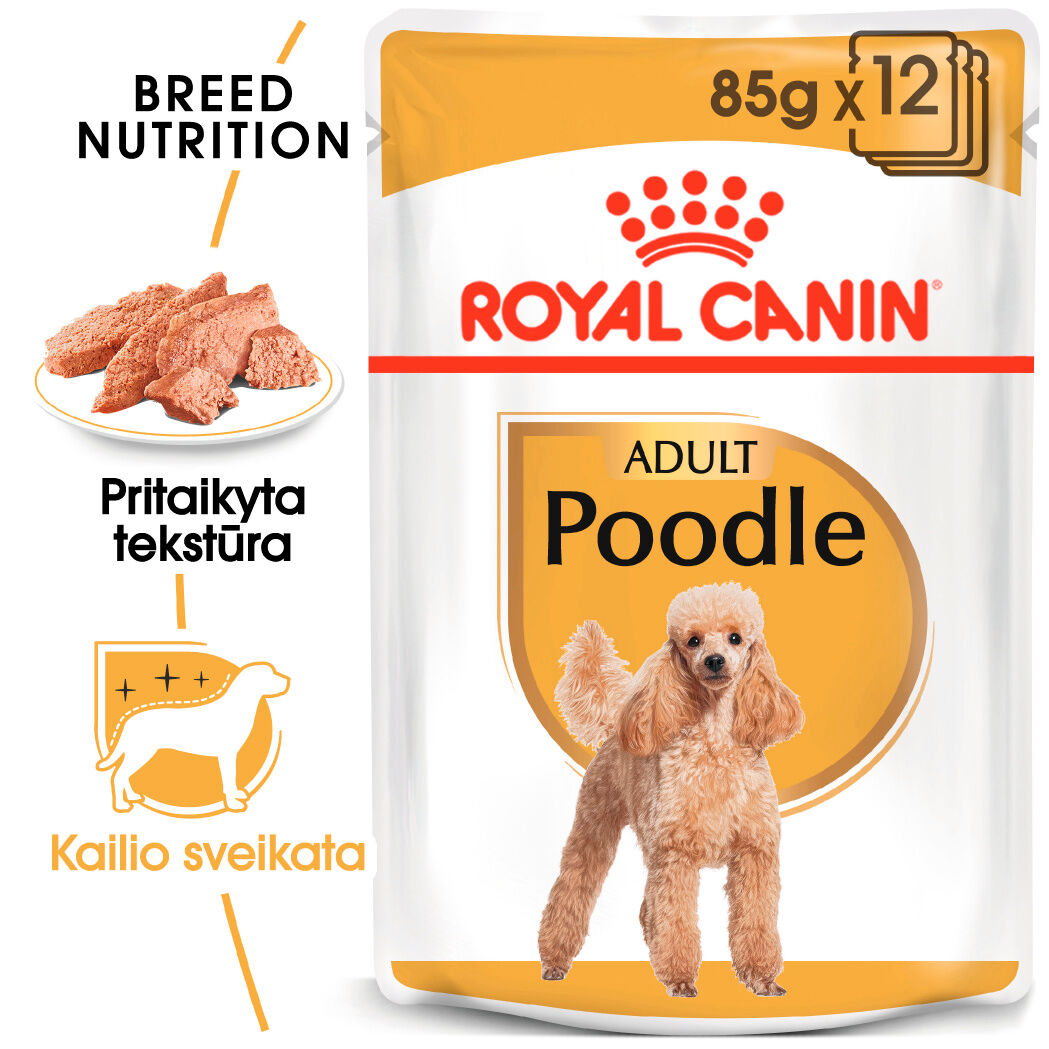 Poodle