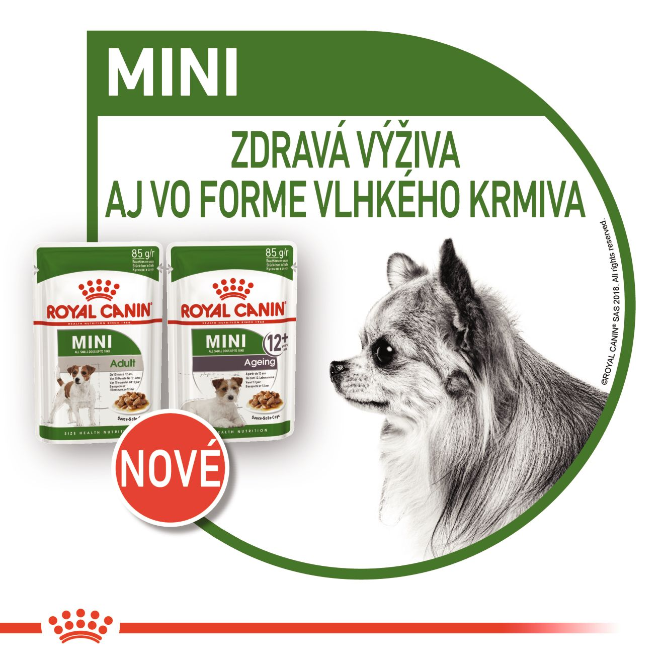 ROYAL CANIN Mini Adult kapsička v šťave pre dospelých psov malých plemien