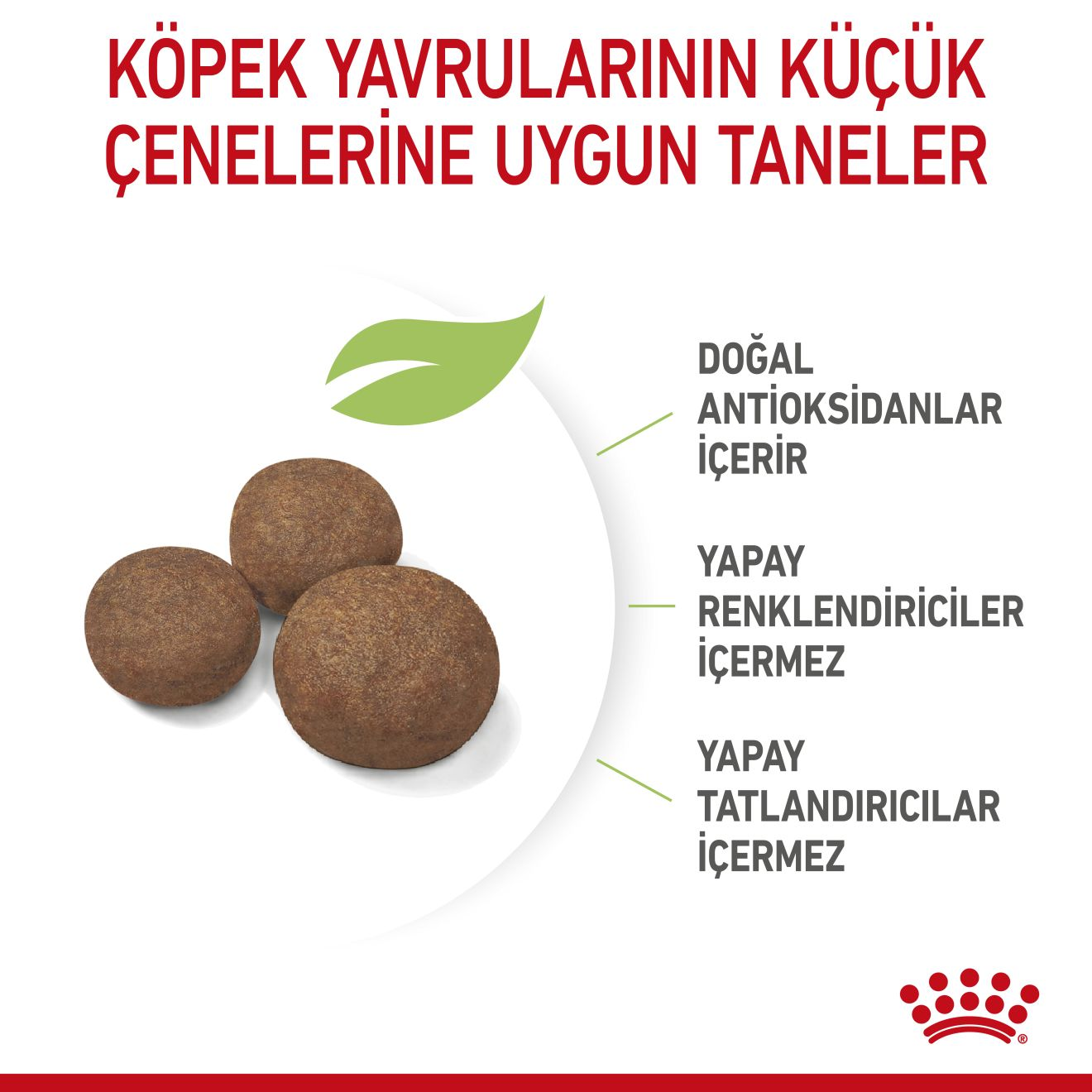 Medium Puppy Yavru Köpek Kuru Maması