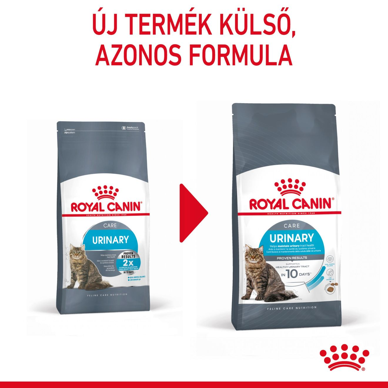 Urinary Care