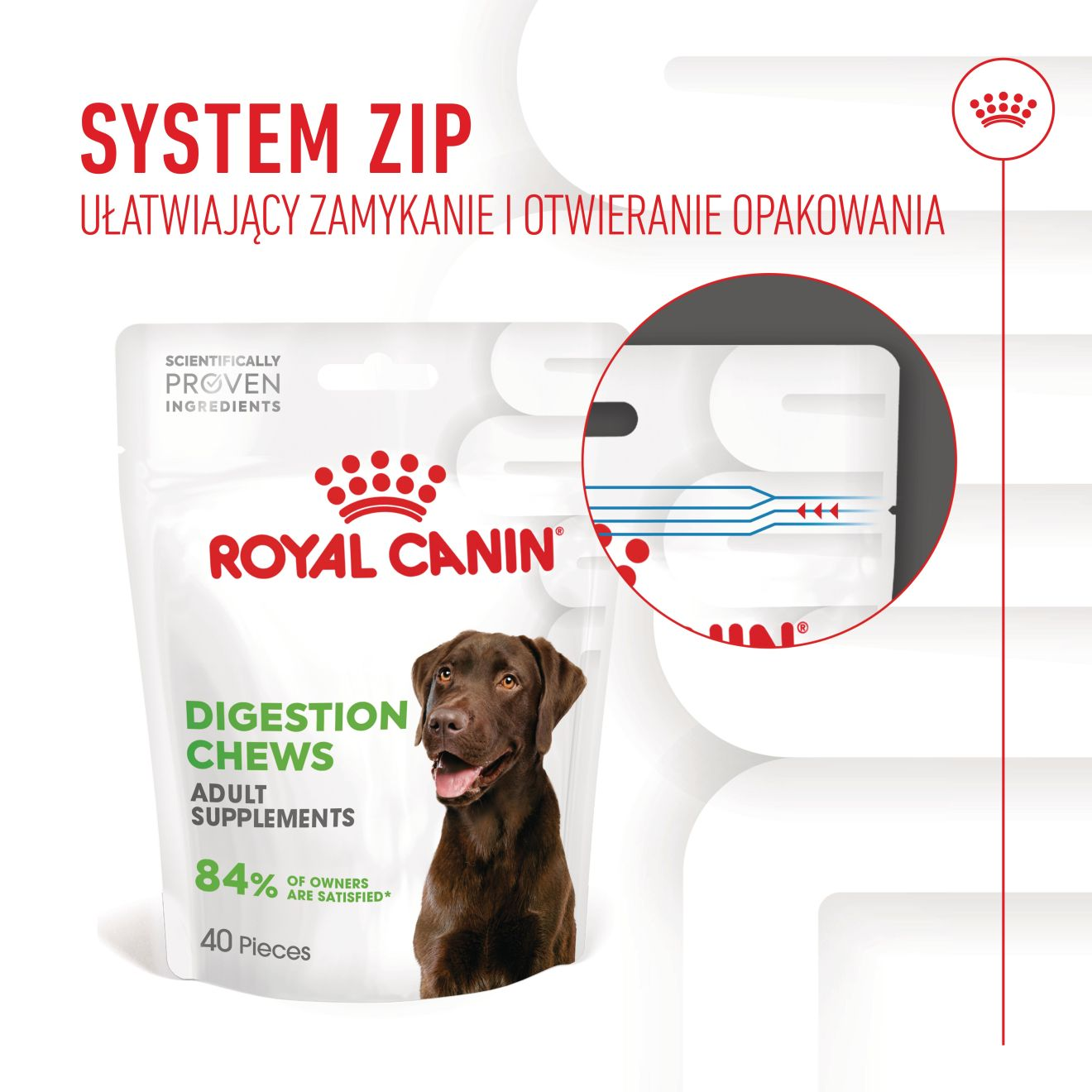 Supplements Dog Digestion Adult