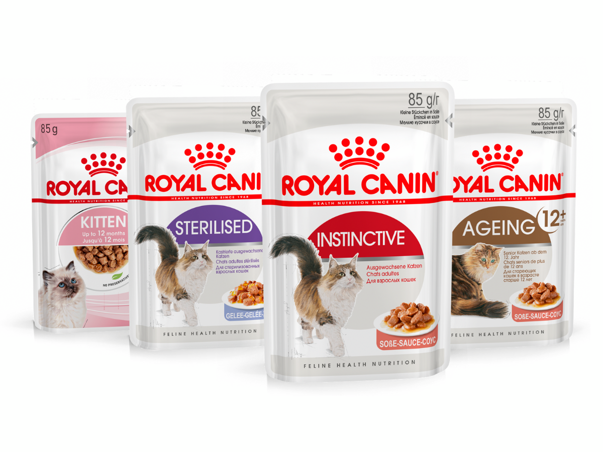 Patées et bouchées pour chat Royal Canin