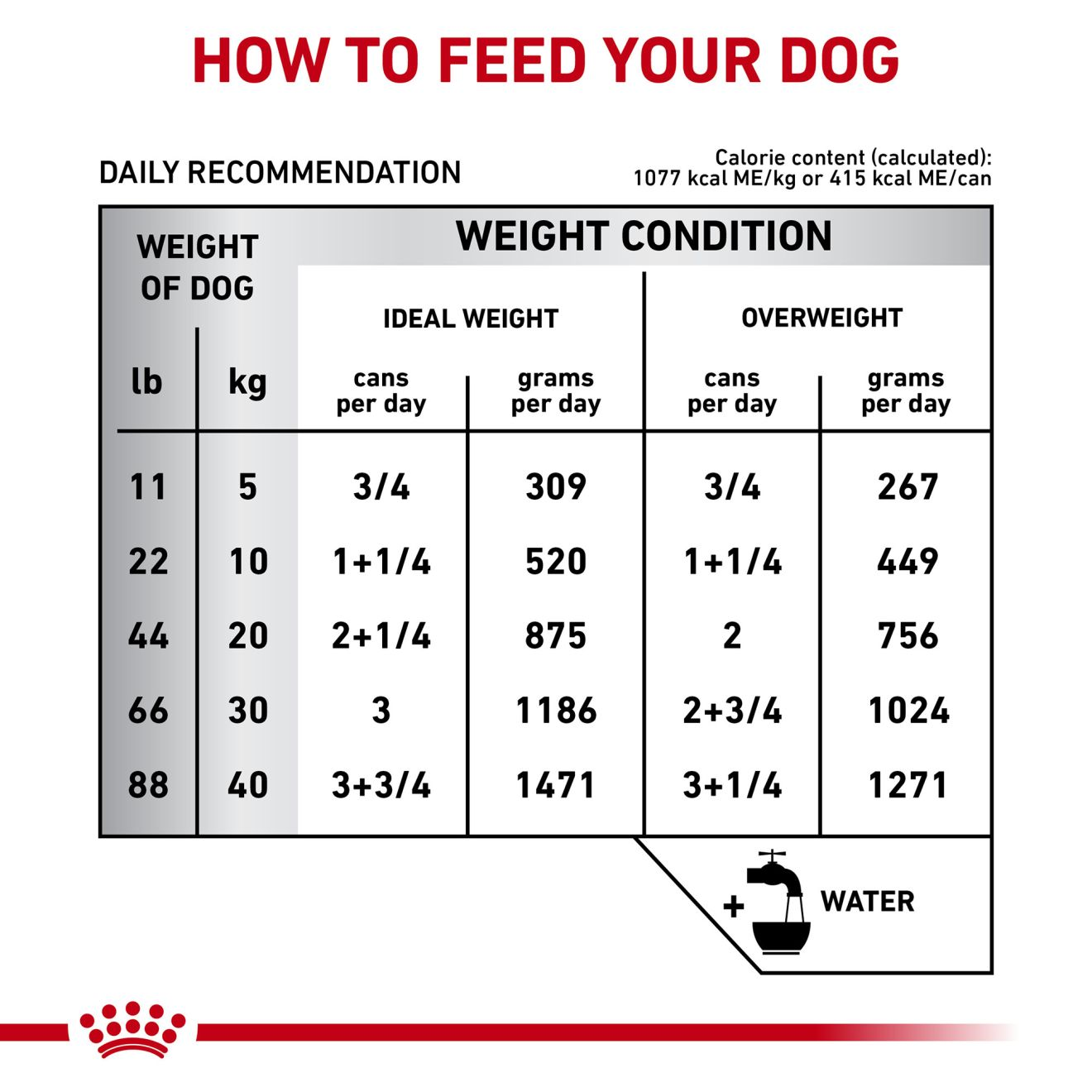 Royal canin gastrointestinal 2025 dog food feeding guide