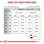 Canine Gastrointestinal Loaf Royal Canin US