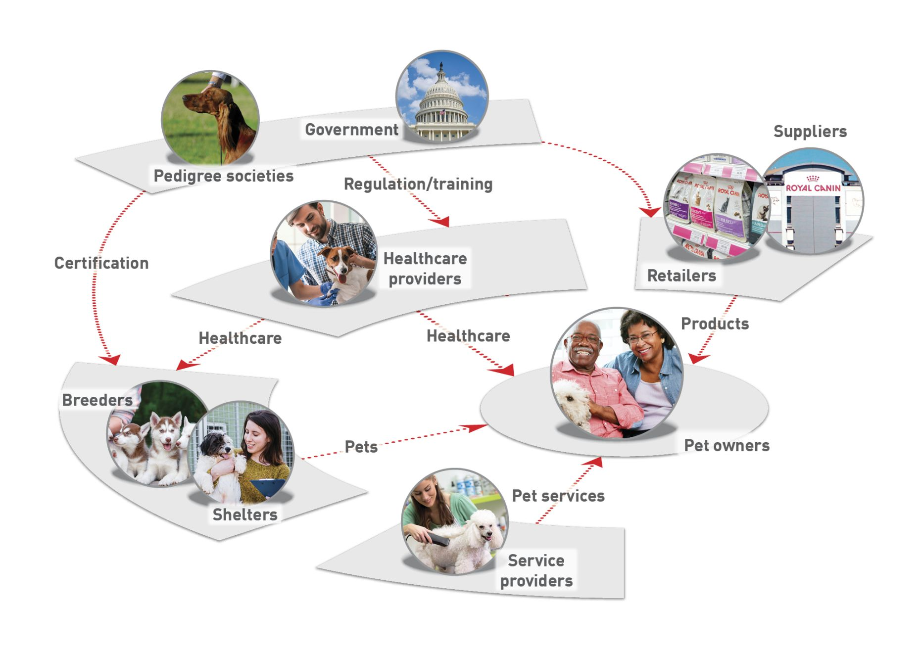The various stakeholders as they relate to pet owners