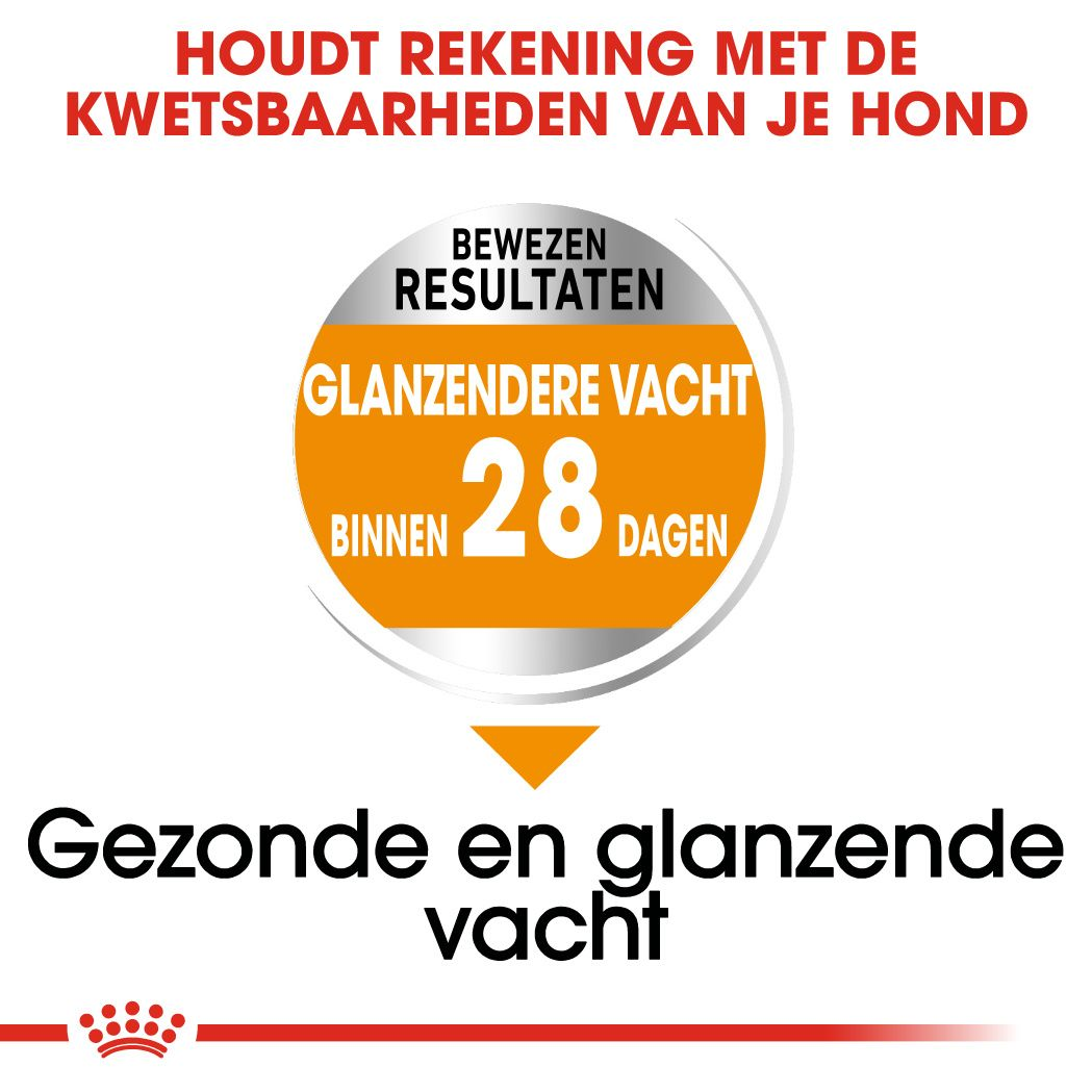 Royal Canin Coat Care Mini Hondenvoer Royal Canin Shop Royal Canin NL