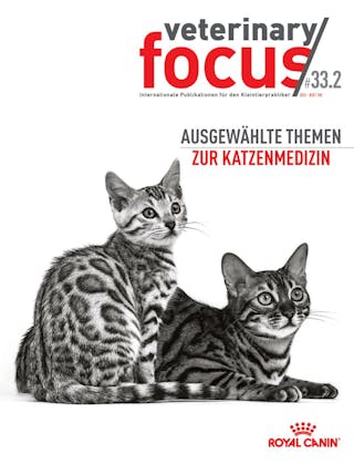 Ausgewählte Themen zur Katzenmedizin