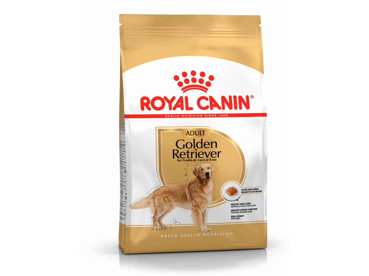 Croquettes Royal Canin pour chien Golden Retriever