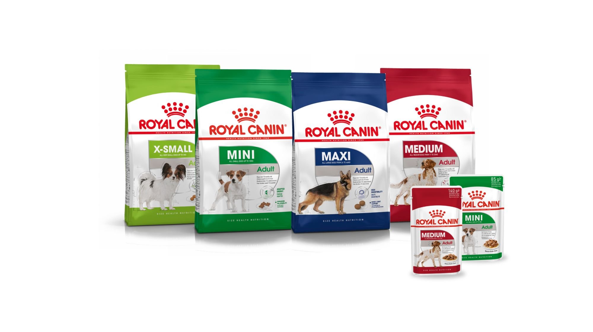 Testméret szerinti tápok kutyáknak