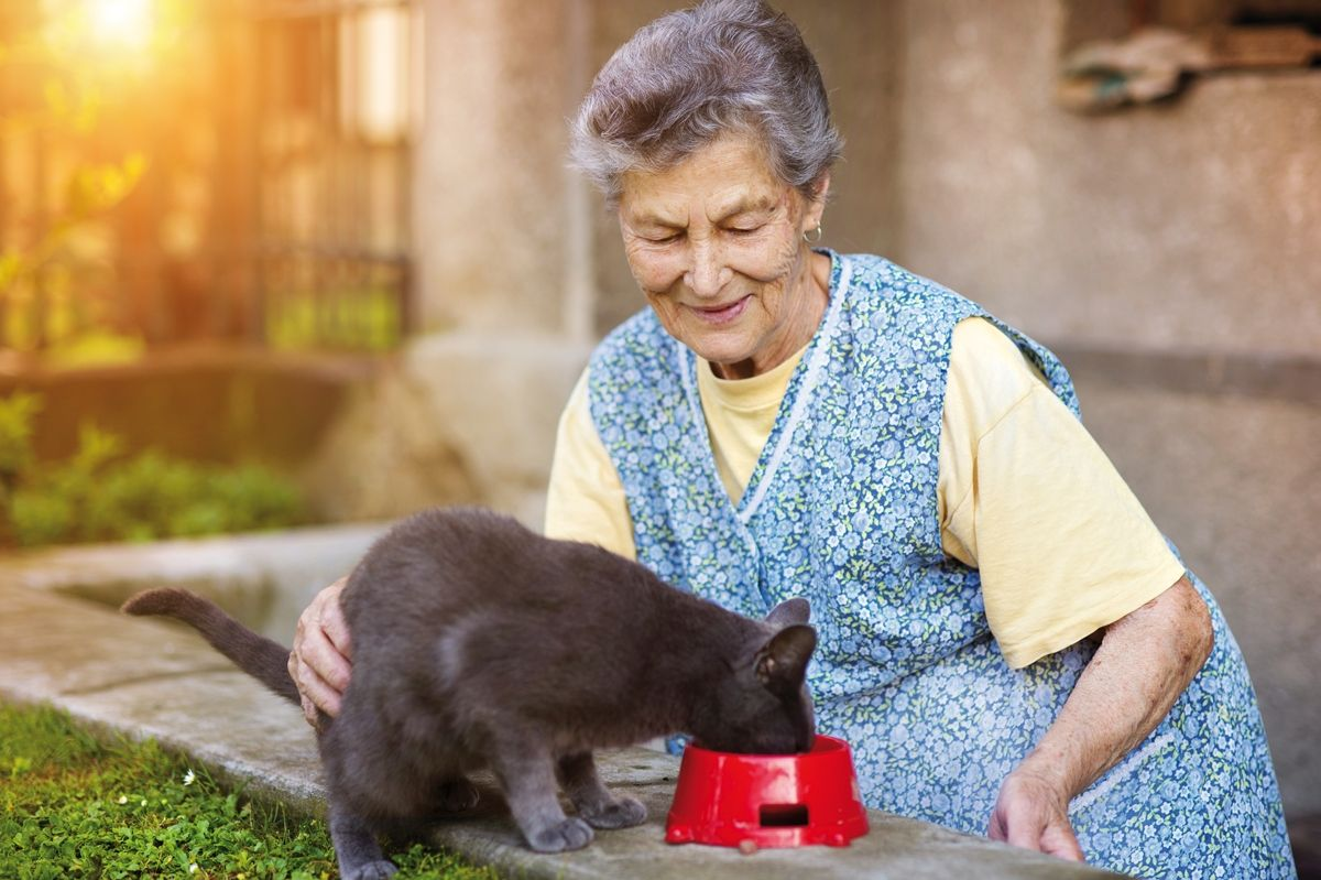 Offering food to a pet is a primary means of human expression of care.