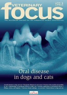 Oral disease in dogs and cats