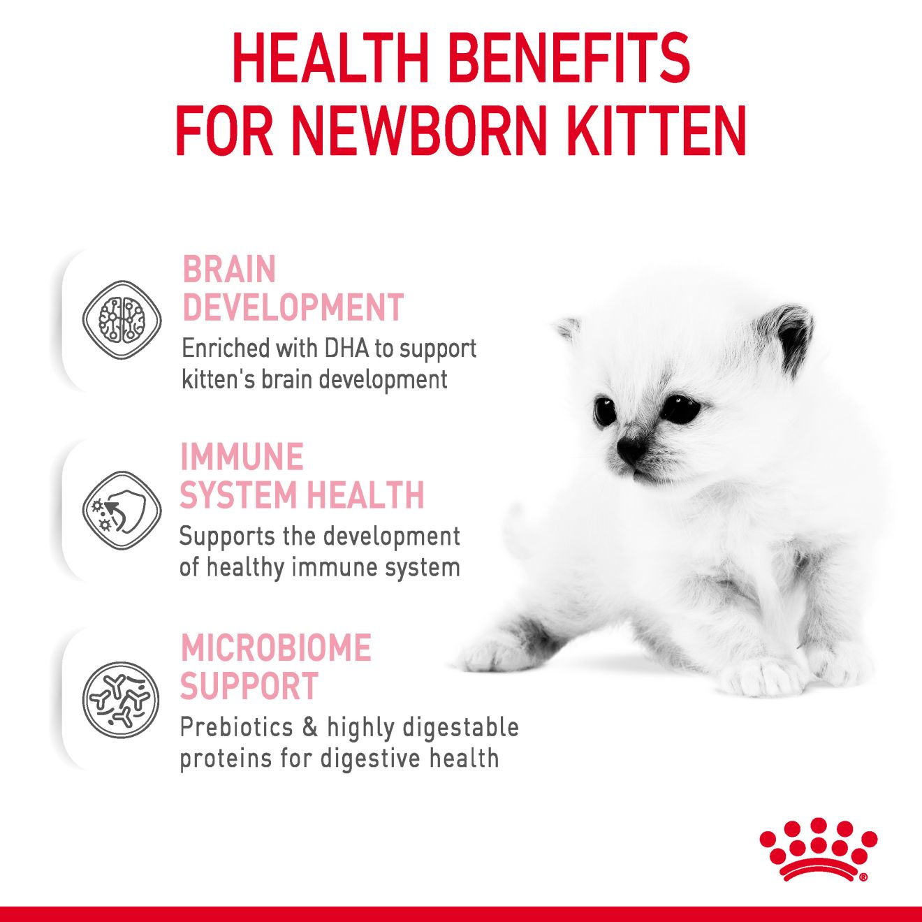 Newborn hotsell cat milk