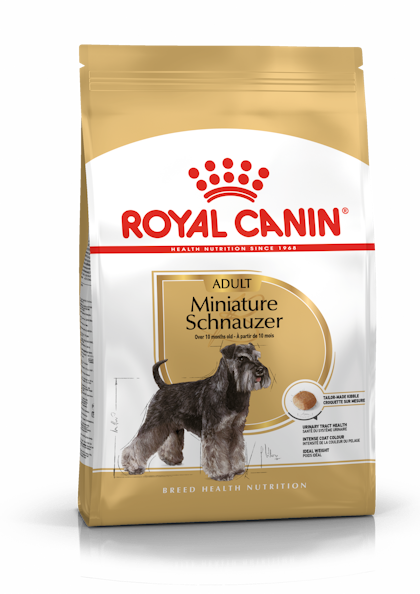 Miniature Schnauzer Adult Dry Royal Canin