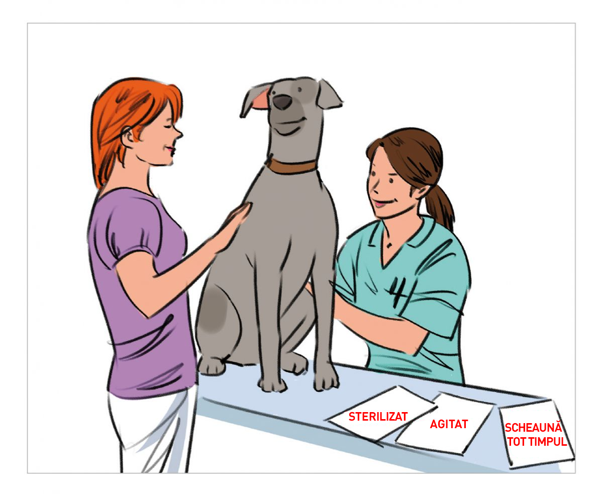 Pentru o bună calitate a comunicării și serviciilor, este esențial ca în discuțiile cu clienții să fie adresate întrebări până când totul este perfect clar și „la vedere”. Această strategie îmbunătățește comunicarea și serviciile furnizate.