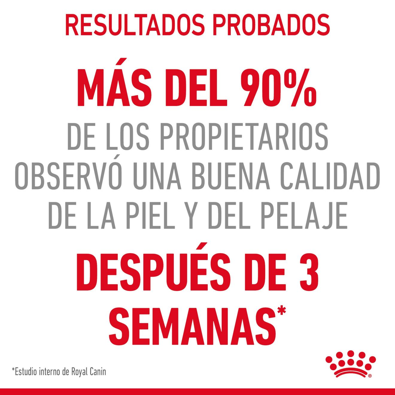 Hair & Skin Finas láminas en gelatina