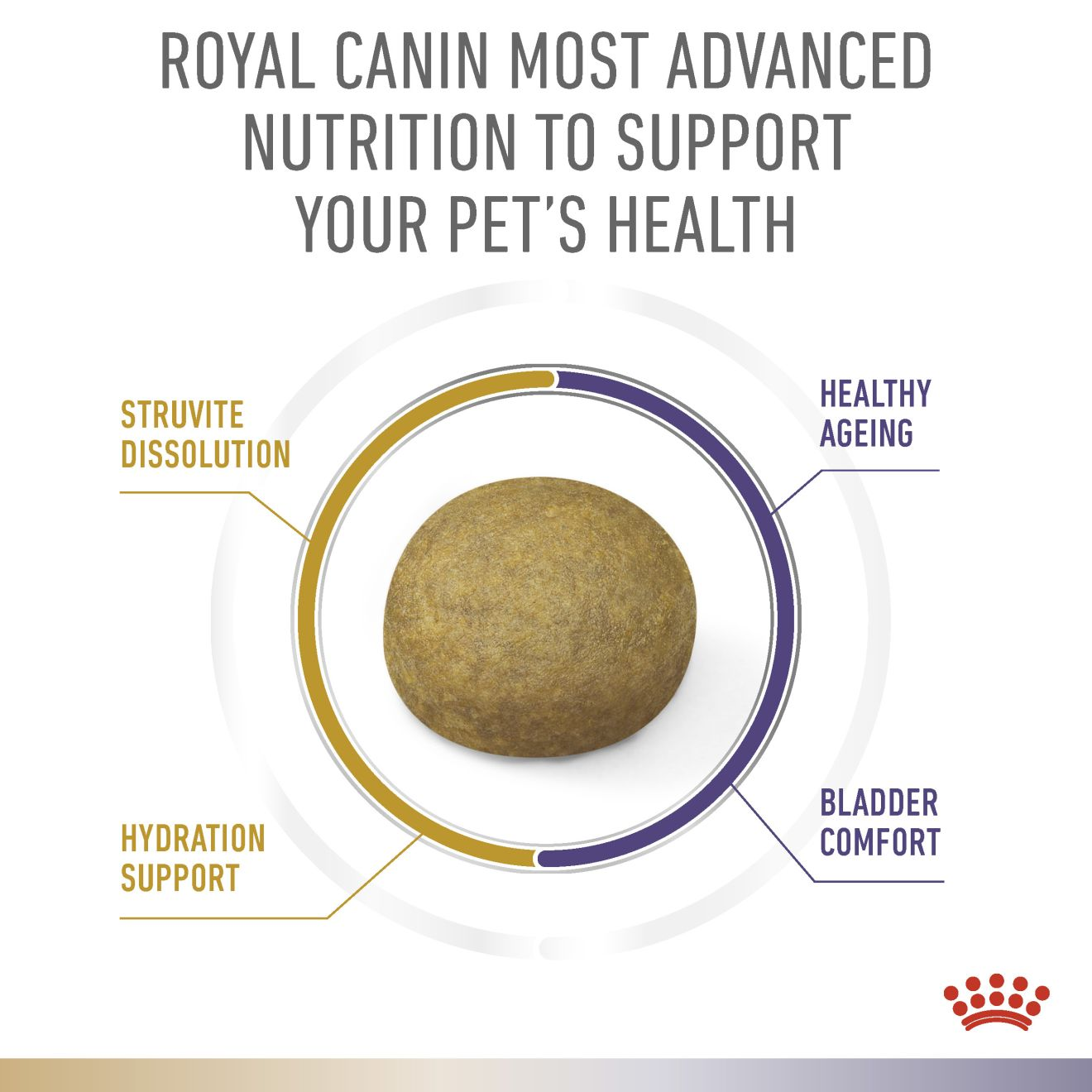 URINARY Ageing 7+ + BLADDER COMFORT