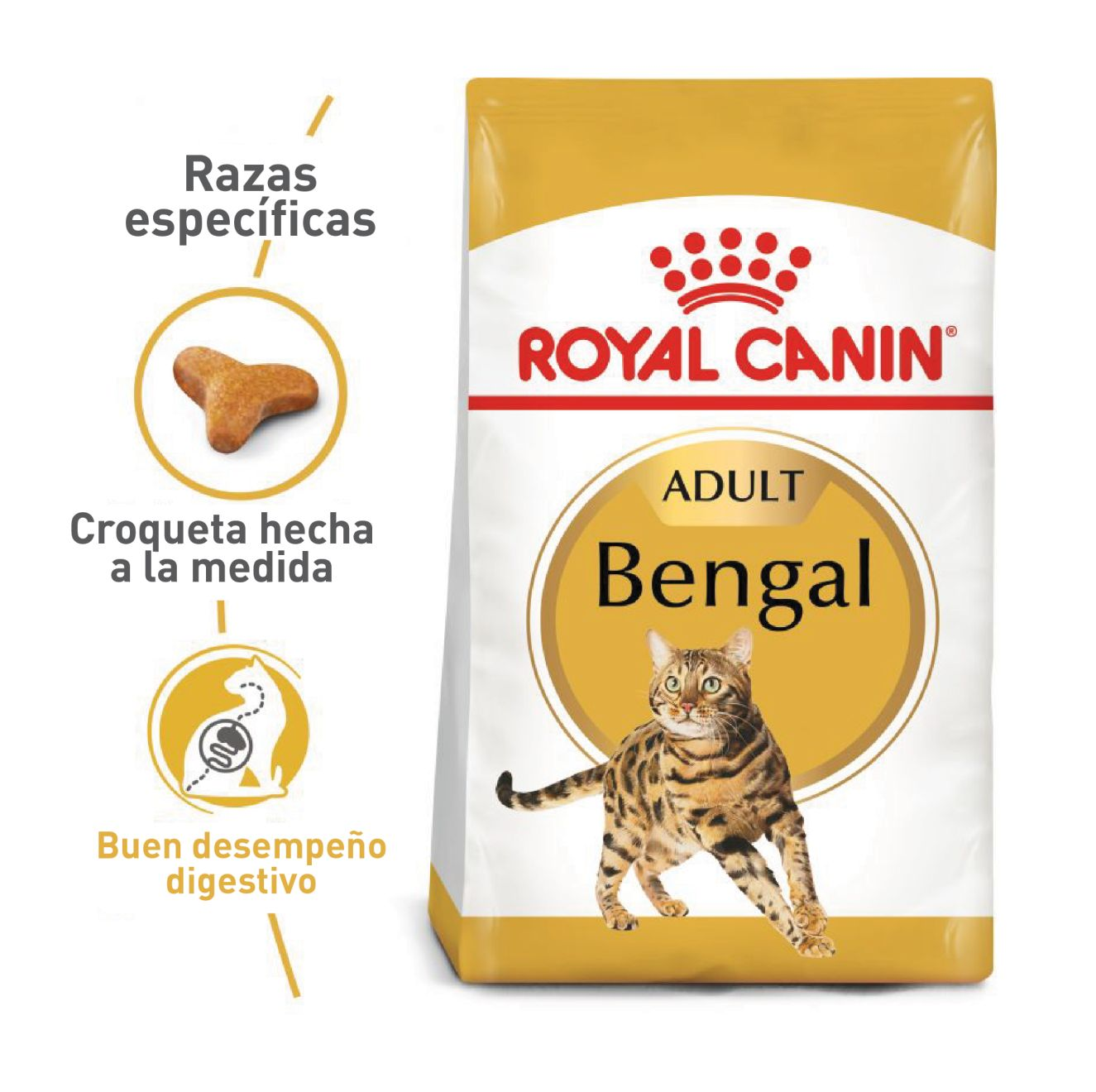 Gato Bengala Adulto