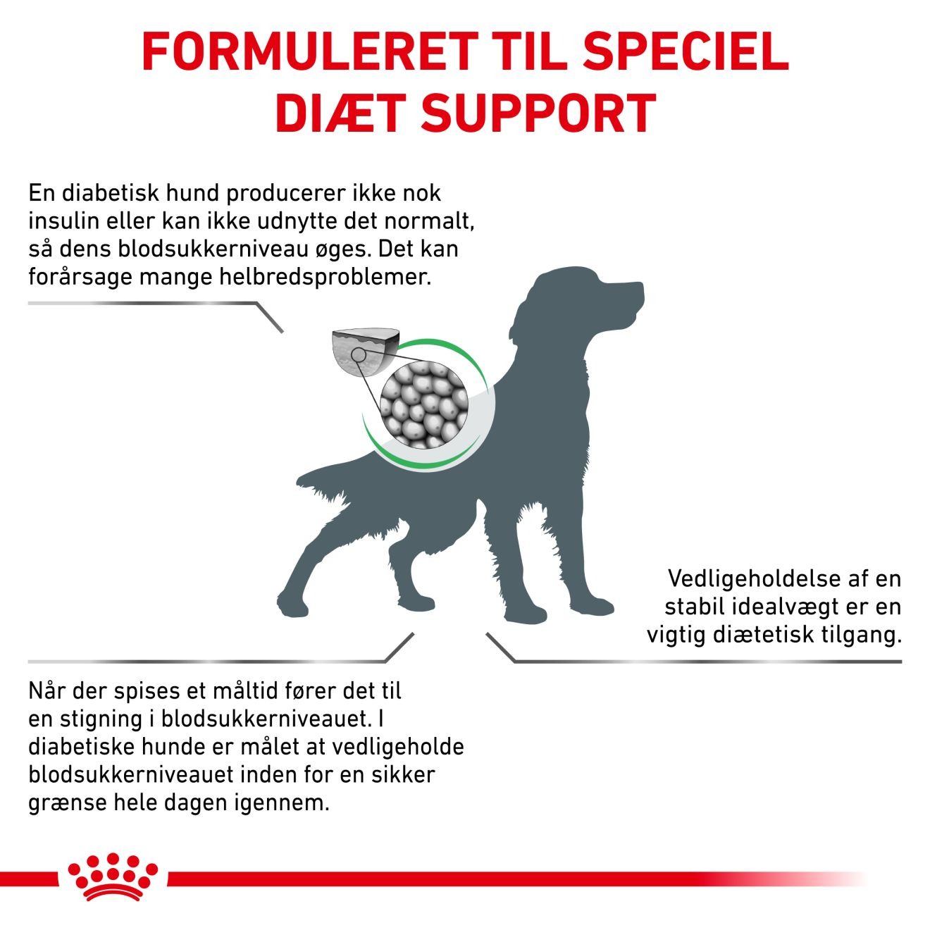 Weight Management Diabetic 