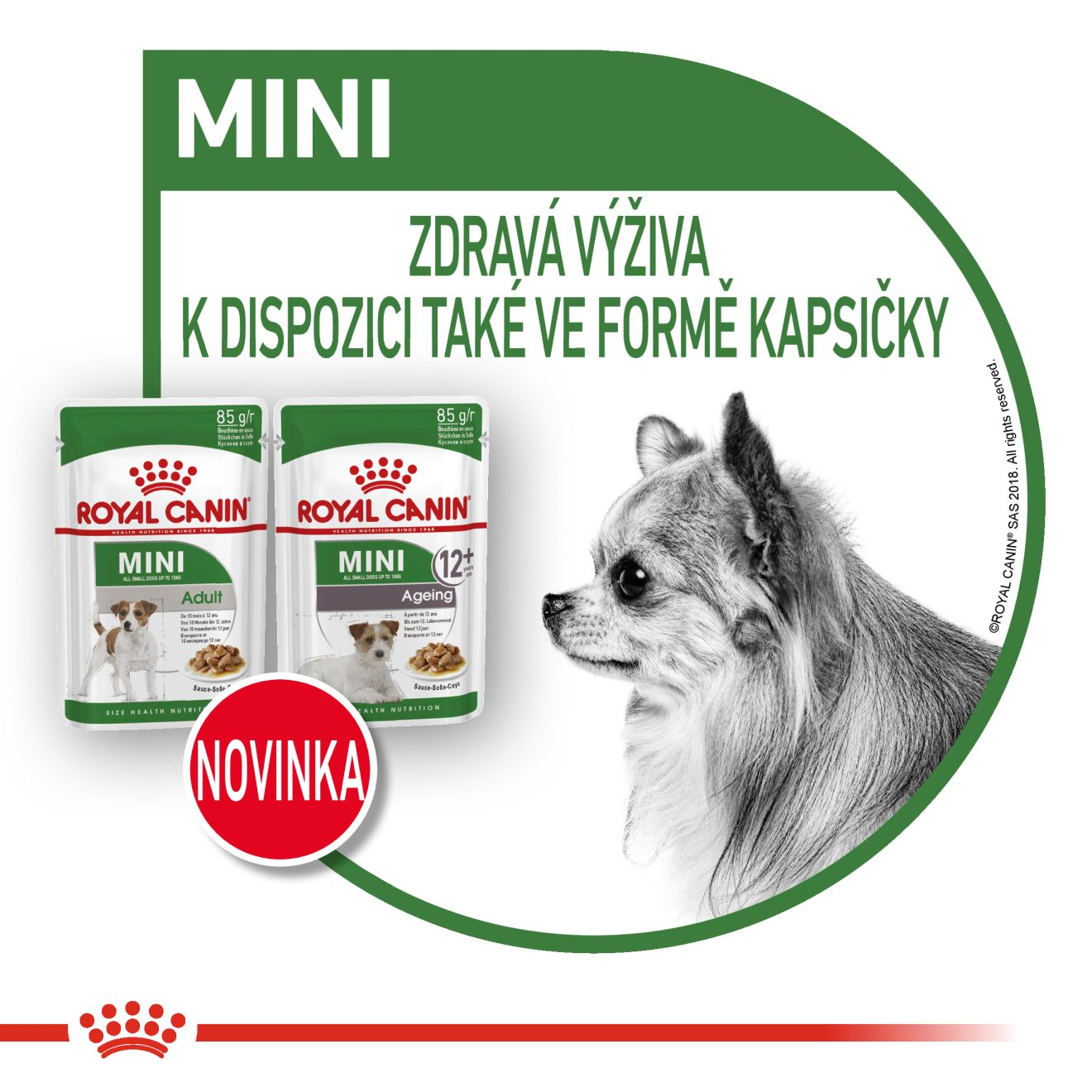 ROYAL CANIN Mini Adult kapsička ve šťávě pro dospělé psy malých plemen
