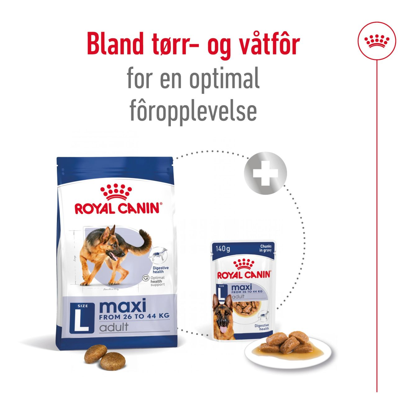 Maxi Adult