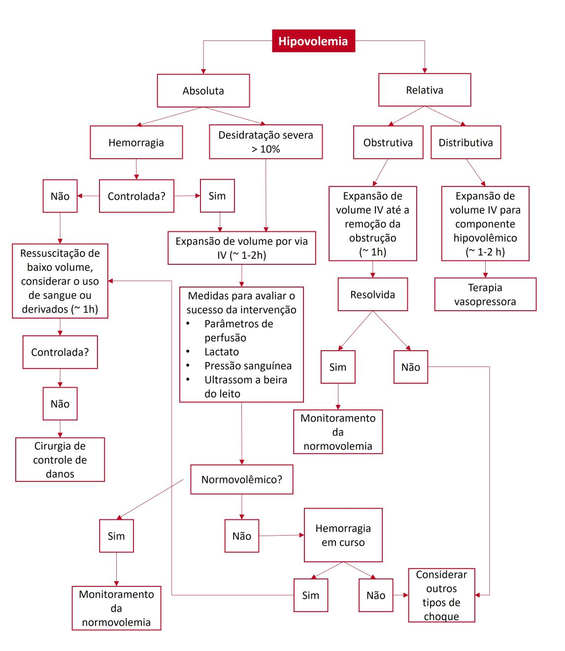 fluxograma abrangente para auxiliar na tomada de decisão ao se prescrever fluidos para gatos hipovolêmicos