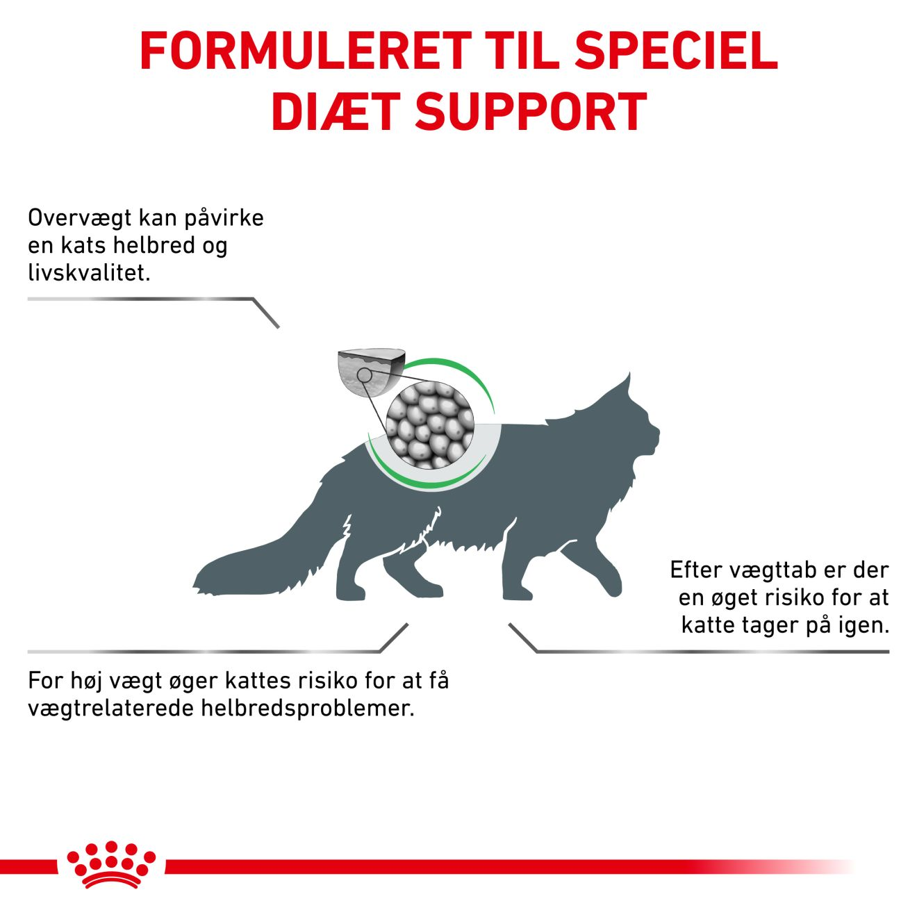 Weight Management Satiety 