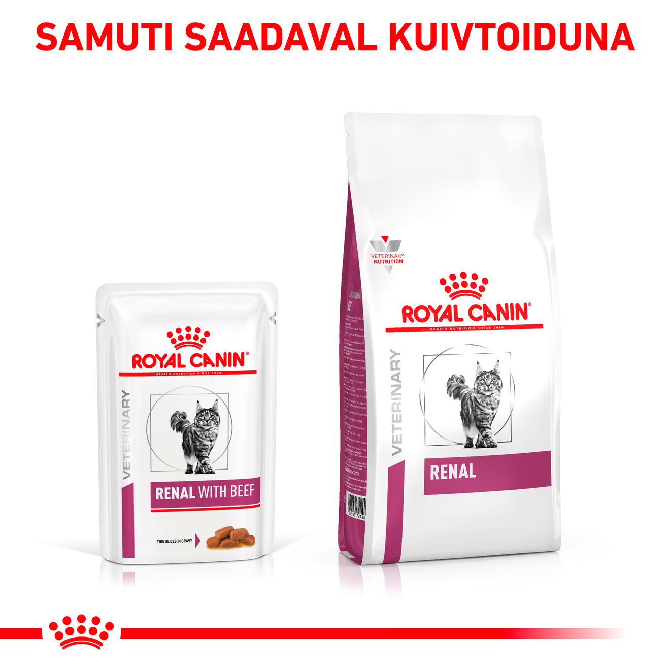Royal Canin Renal With Beef Cat konserv (õhukesed viilud kastmes)