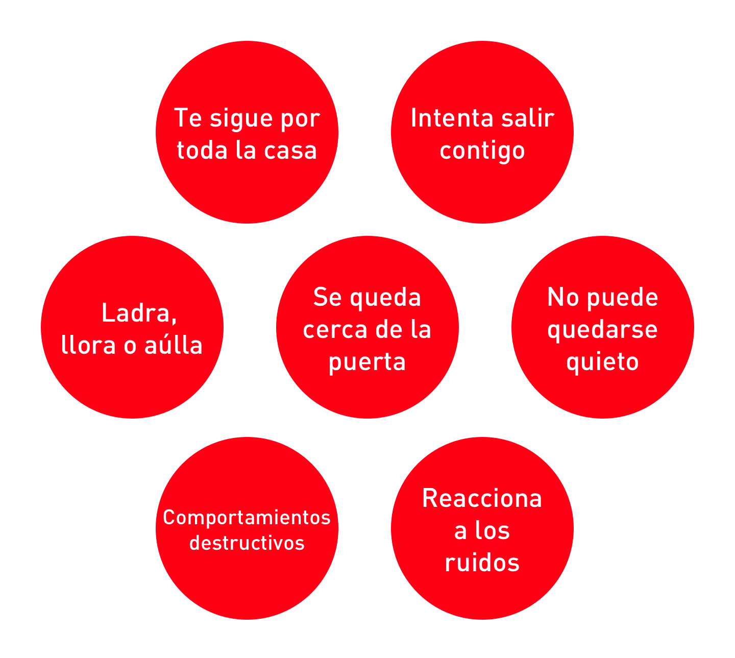 Typical signs of separation anxiety in dogs illustration