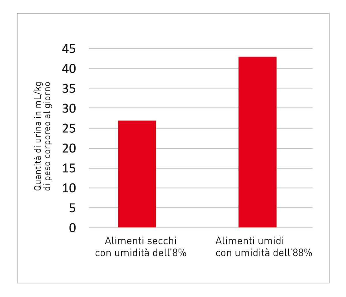 Ilość moczu wydalanego przez koty żywione karmą suchą i mokrą 8 Ilość wydalanego dziennie moczu w ml na kg masy ciała kota Karma sucha o wilgotności 8% Karma mokra o wilgotności 88%