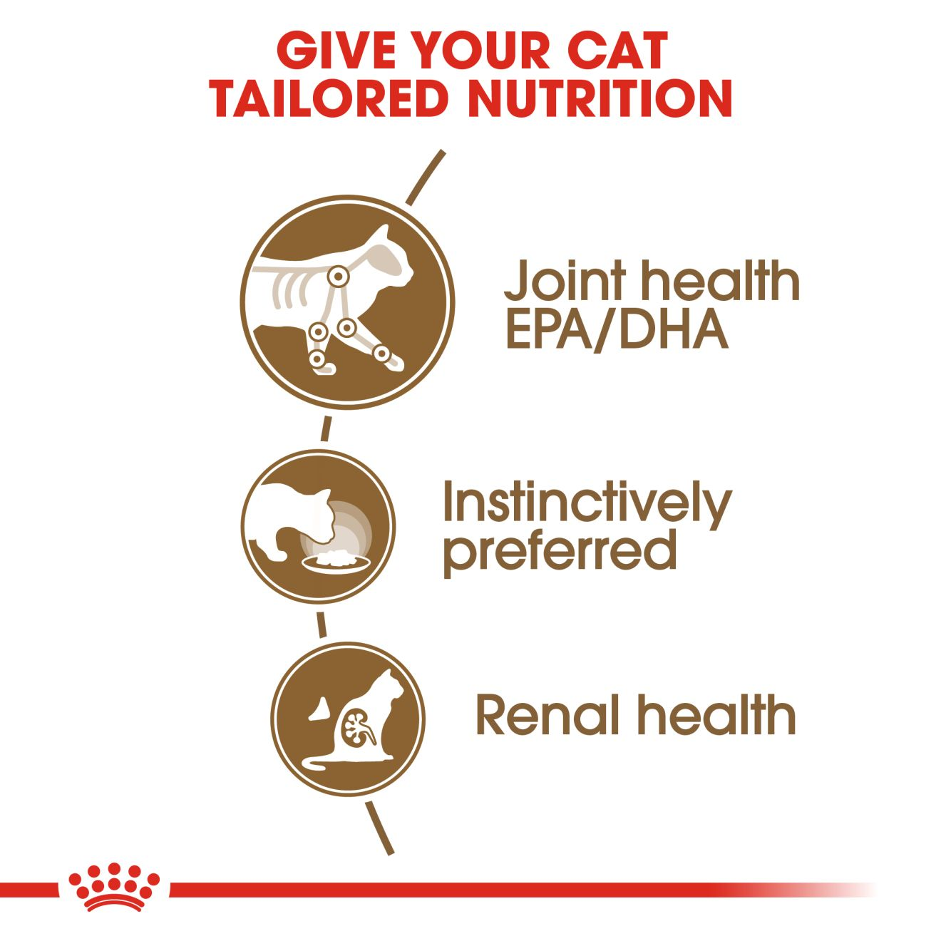 Ageing 12+ | Royal Canin IN