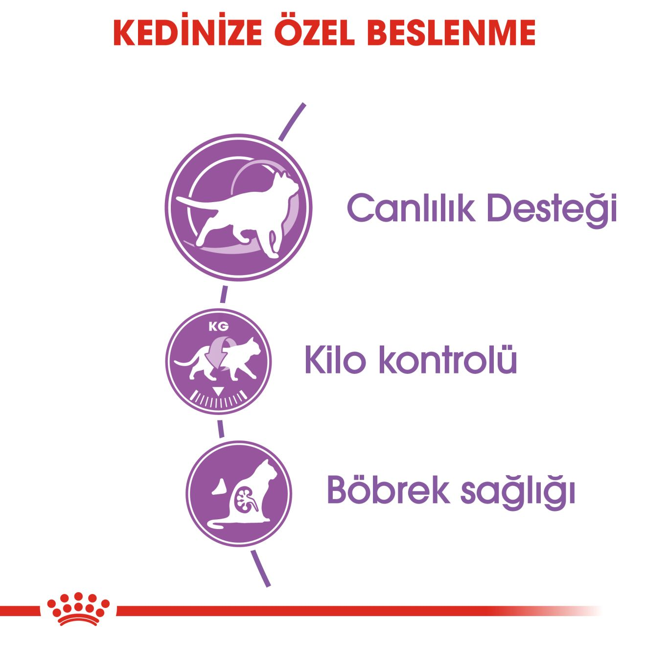 Sterilised 7+ Yaşlı Kedi Kuru Maması