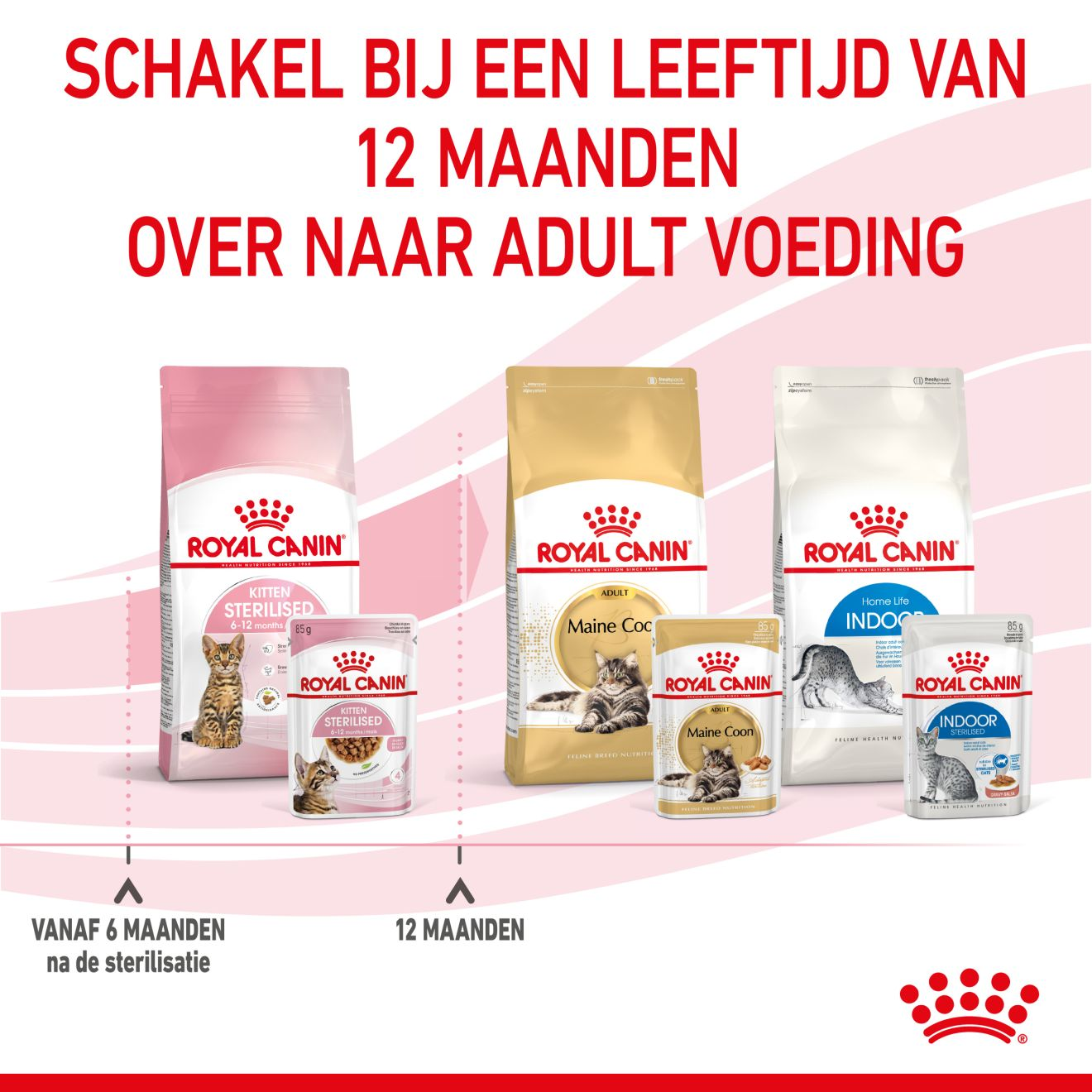 Kitten Sterilised in Gravy (brokjes in saus) Royal Canin BE