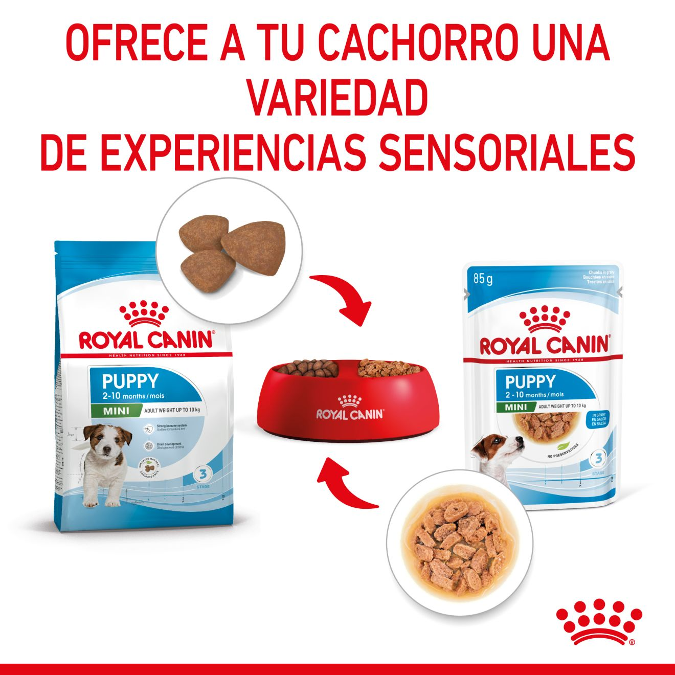PUPPY - MINI - Trocitos en salsa