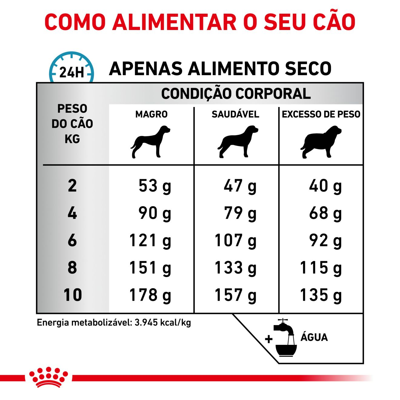 Skin Care Small Dog