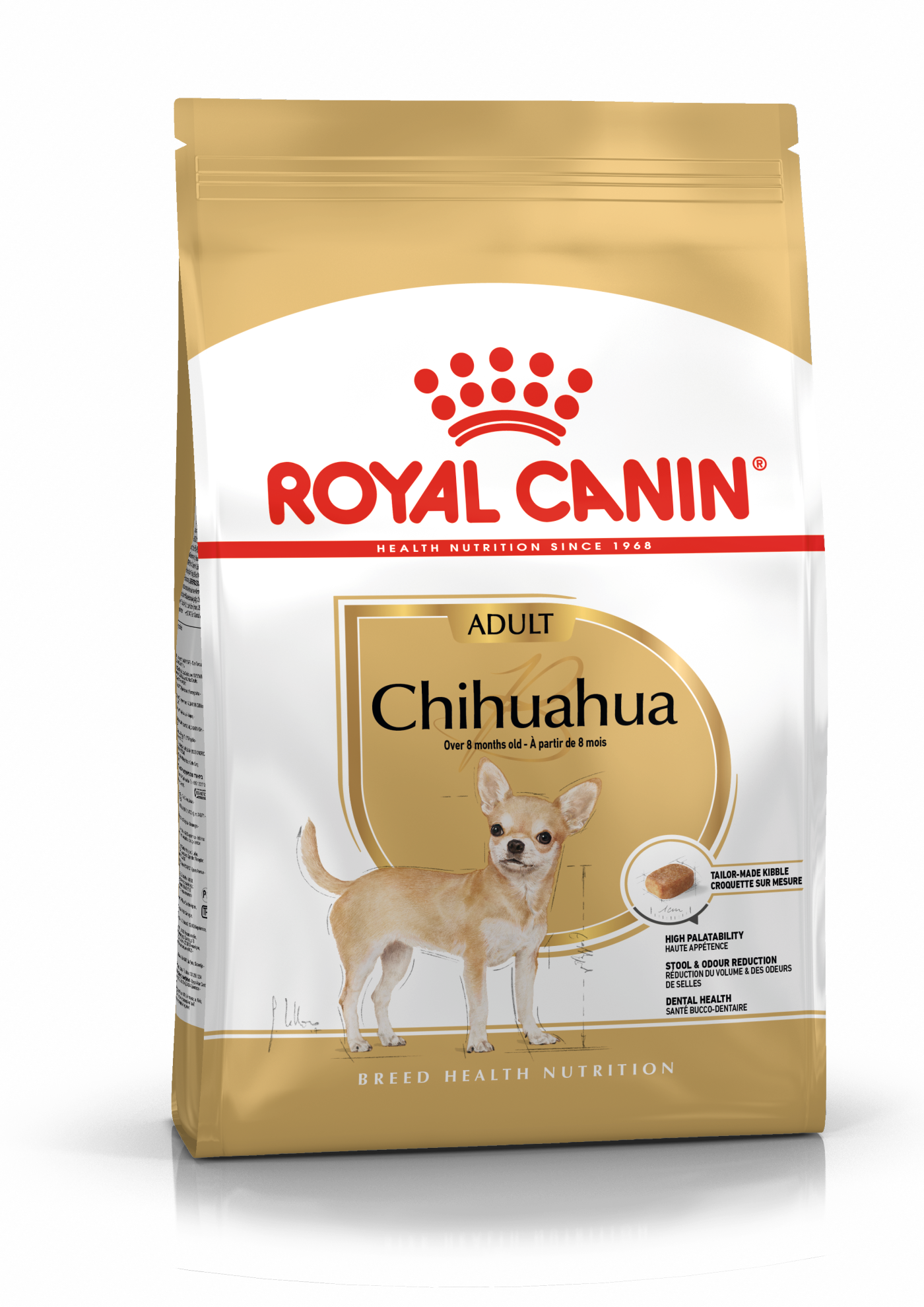Chihuahua Adult 