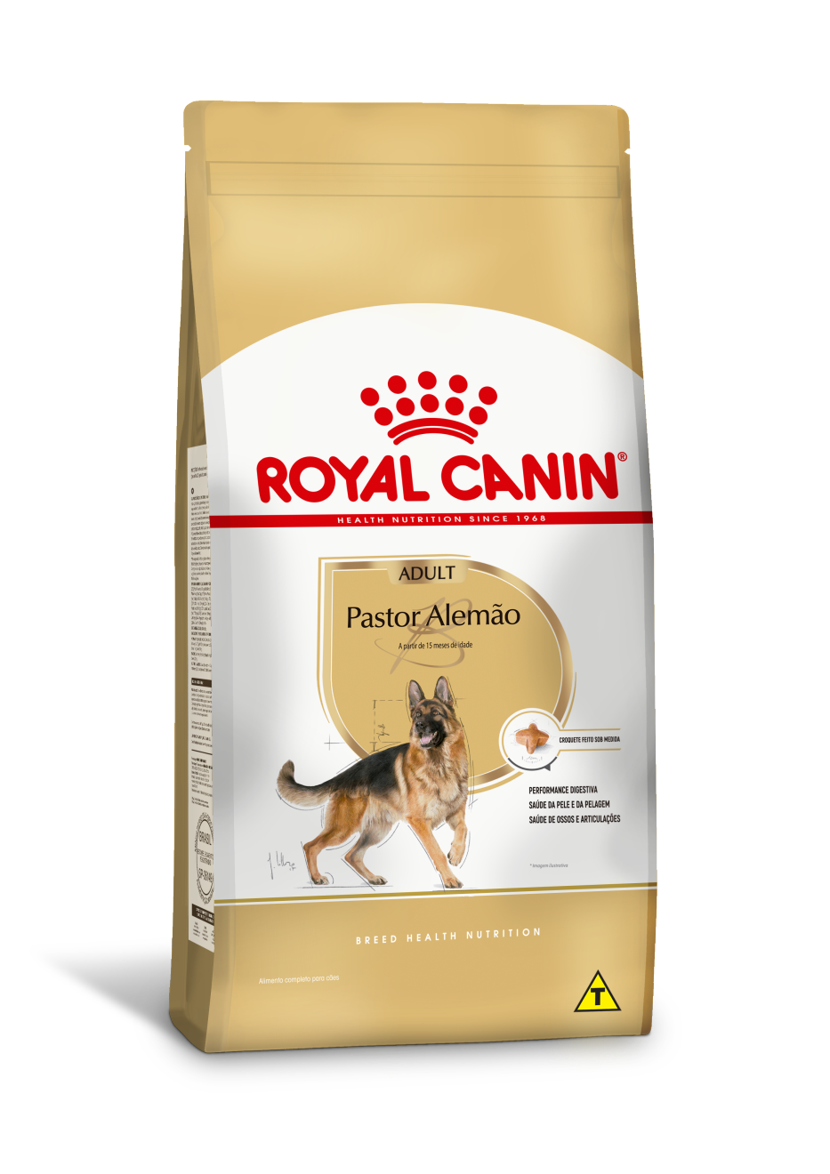 Pastor Alemão Adult