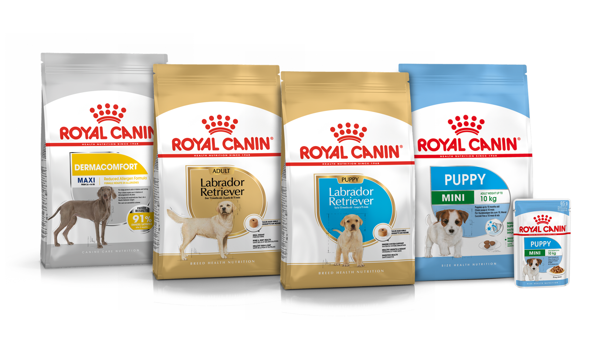 Dog food brands royal canin best sale