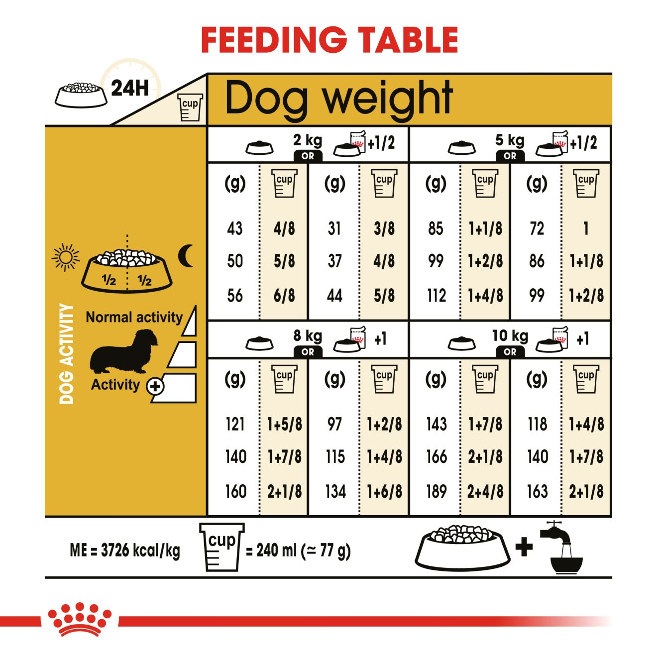 Dachshund puppy 2025 food amount