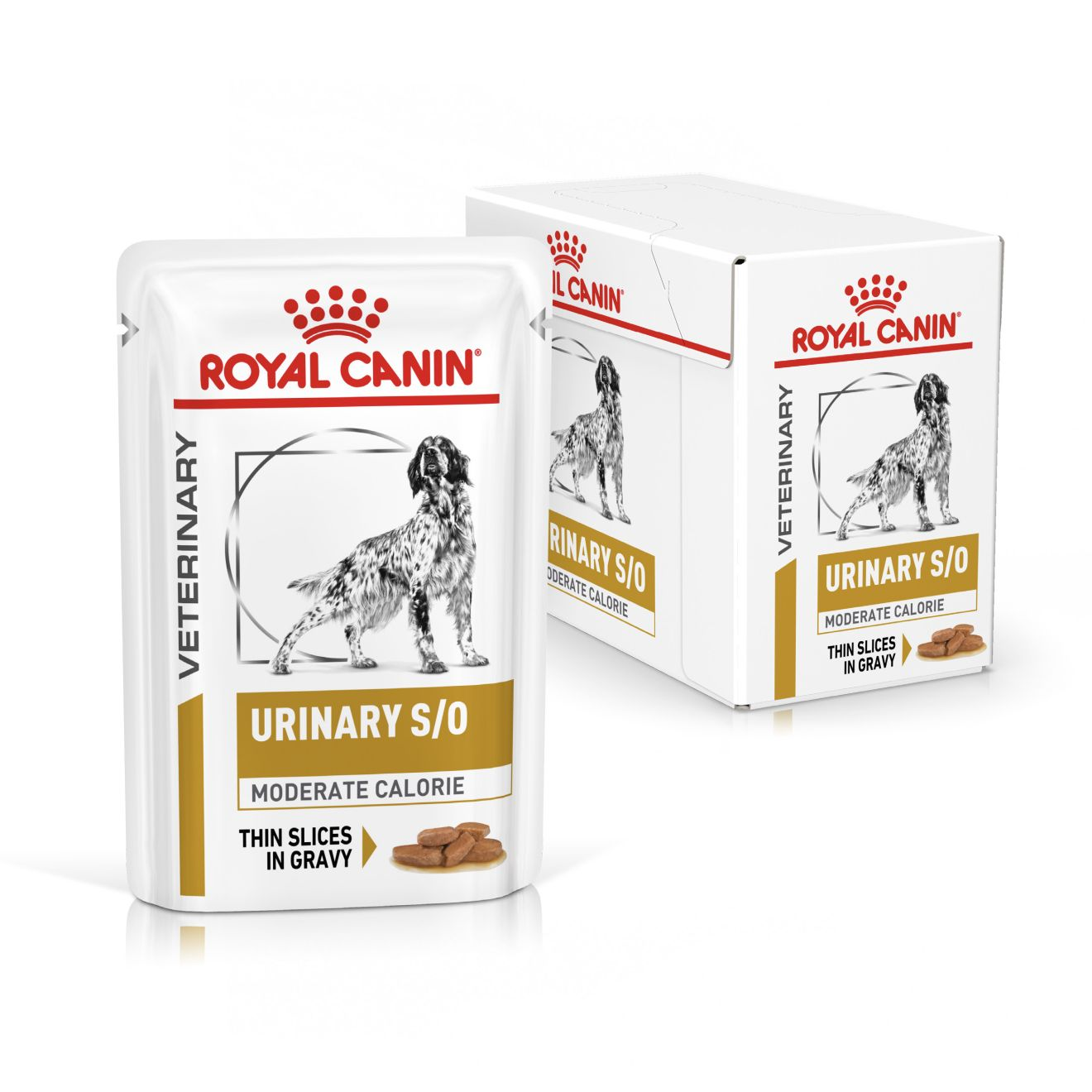 Royal canin 2024 high calorie