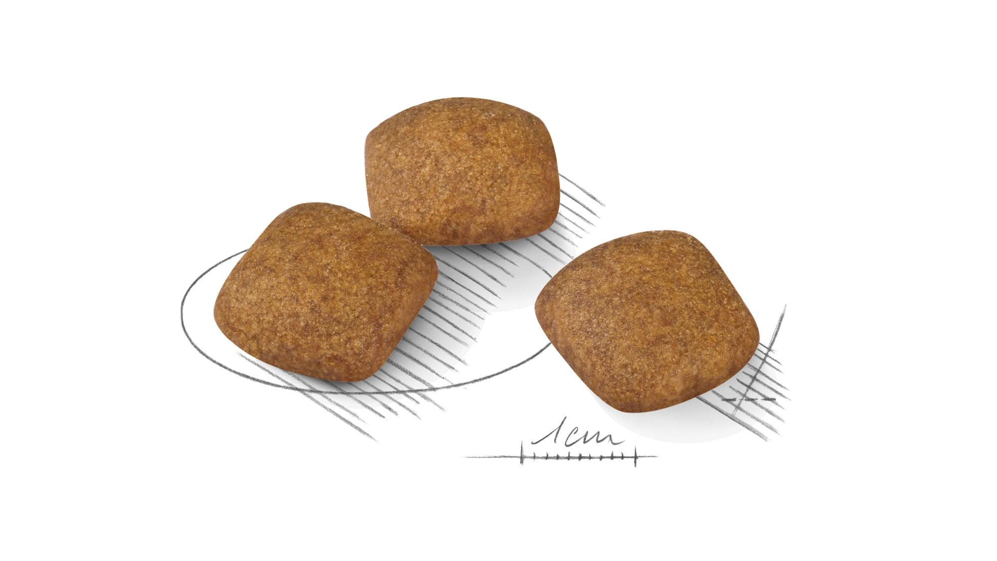 Illustration de croquettes Royal Canin Relax Care Canin Care Nutrition