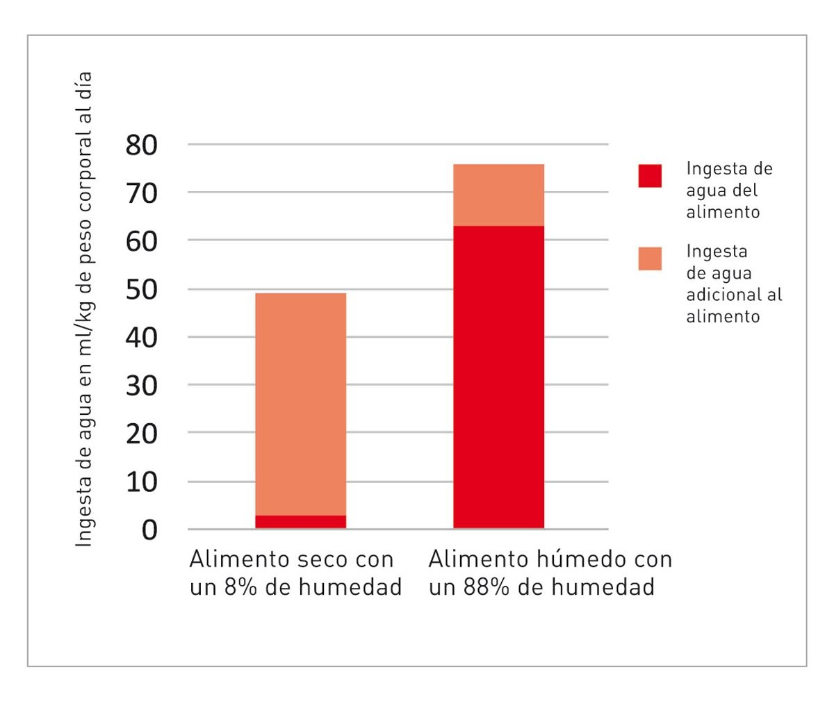Ingesta de líquido en gatos que reciben alimentos secos o alimentos húmedos (8).