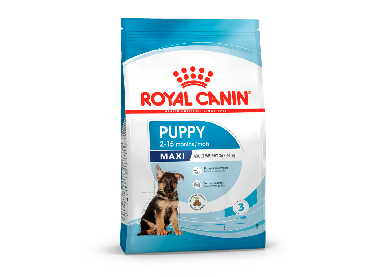 Croquettes Maxi Puppy Royal Canin pour chiot de grande taille