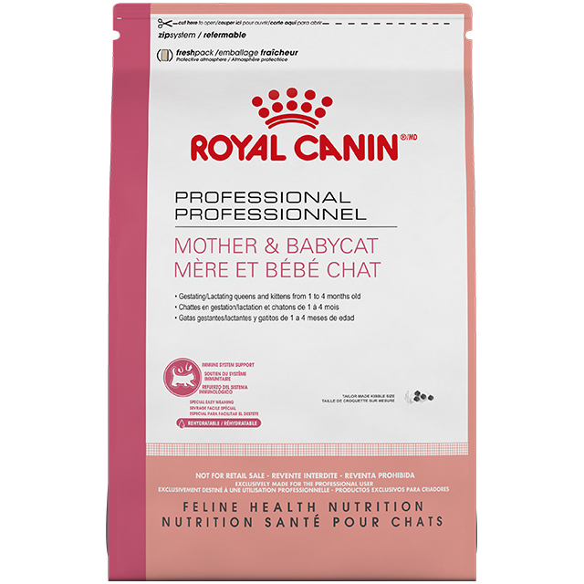 Royal canin professional mother and sales baby cat