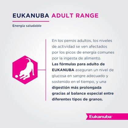 Eukanuba Adulto Large Breed - Adulto Talla Grande