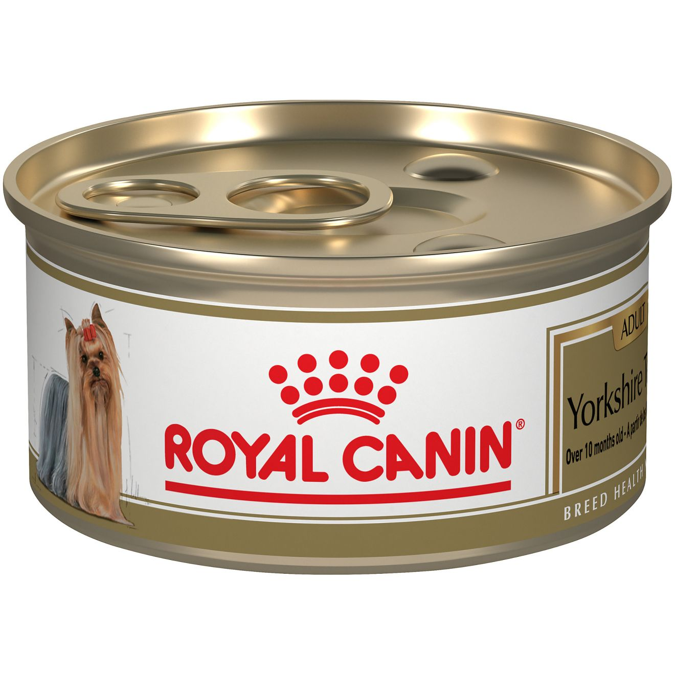 Best dry food for yorkie outlet puppy