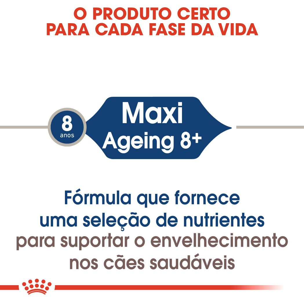 Maxi Ageing