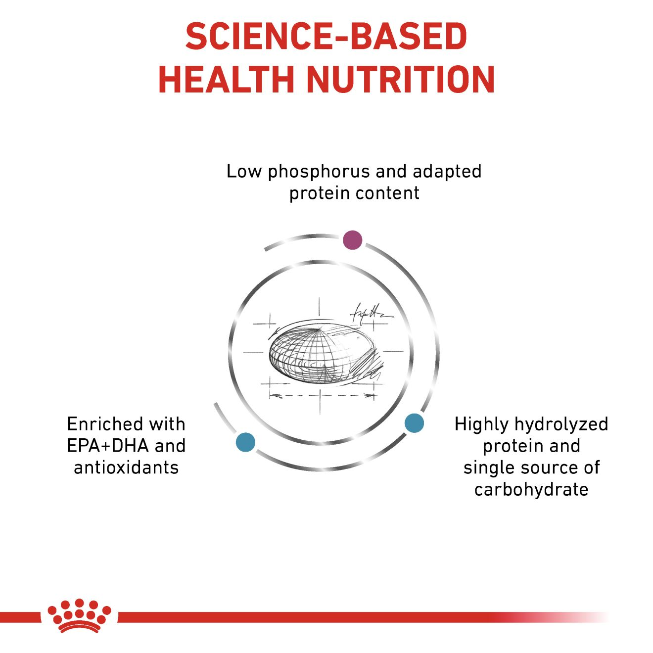 Multifunction Renal + Hypoallergenic