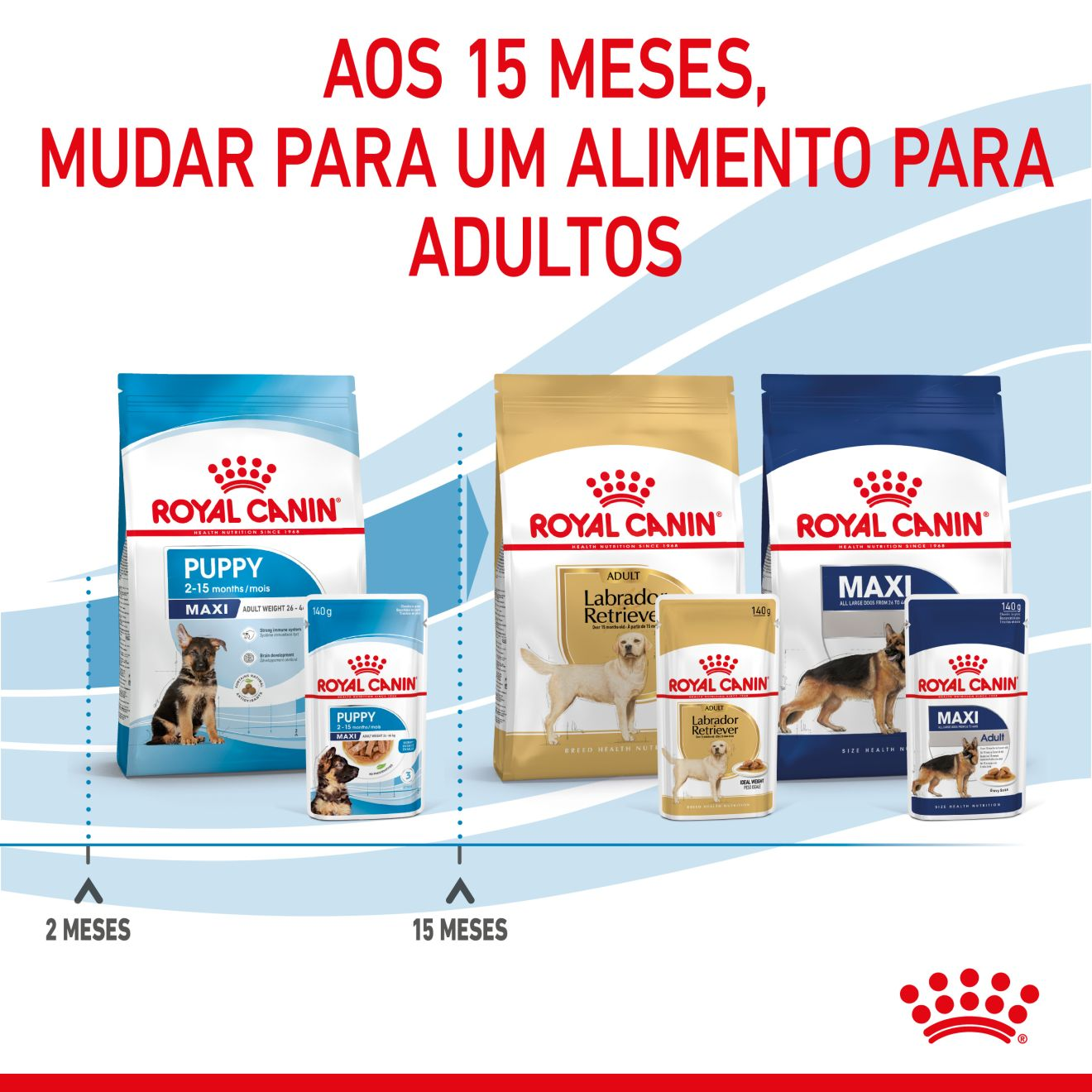 PUPPY - MAXI - Chunks in gravy